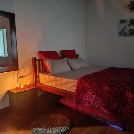Little Valley Villa Ооти Екстериор снимка